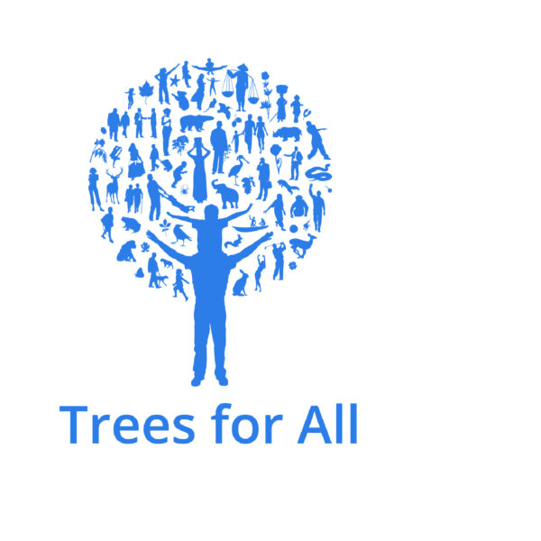 Bolster wordt officieel CO2 compensatie partner van Trees For All